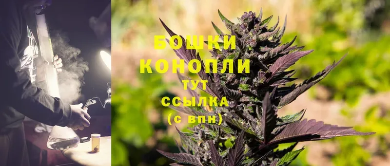 где найти наркотики  Сургут  Конопля Ganja 